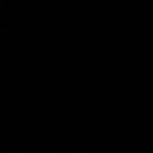 Meet your Posher, Bruce